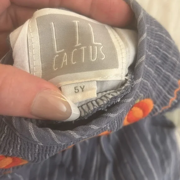 Lil Cactus smocked dress with turkeys and pumpkins size 5y - Picture 4 of 8